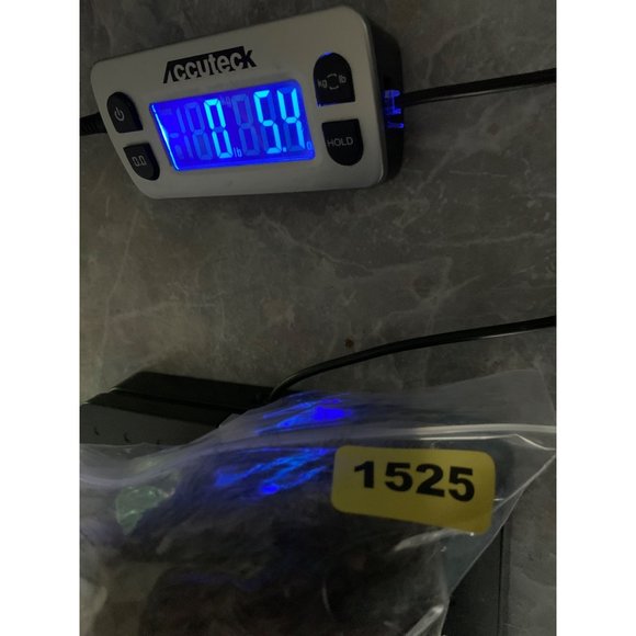 Gina 8 Inch Gray Frosted Teddy Bear Brown Plastic Eyes Leather Nose Gray Detail - Picture 11 of 11